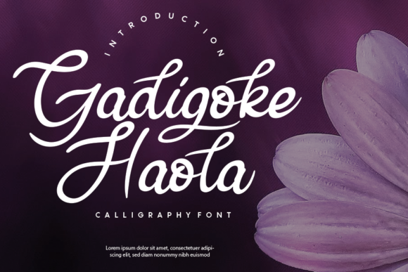 Gadigoke Haola: A Charming Script Font for Makers
