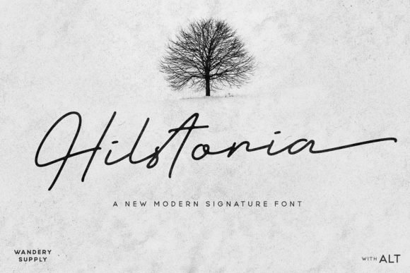 Hilstoria: A Modern Script Font for Web Design