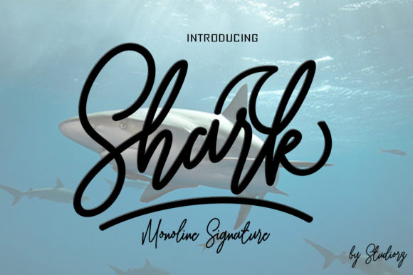 Shark: The Elegant Script Font for Campaigns