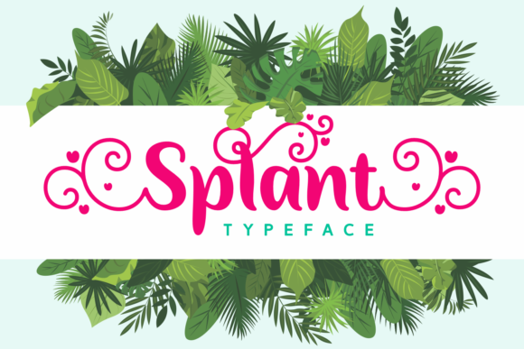 Splant: A Charming Script Font for Brand Identity