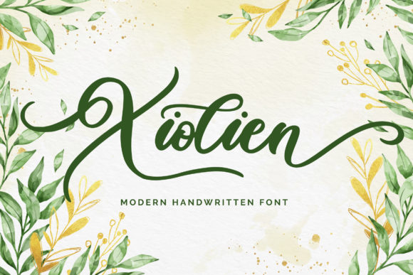 Xiolien: The Elegant Script Font for Campaigns